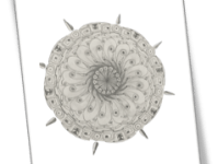 Initial thoughts on the human&nbsp;mind.