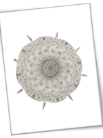 Initial thoughts on the human&nbsp;mind.