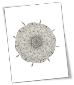 Initial thoughts on the human&nbsp;mind.