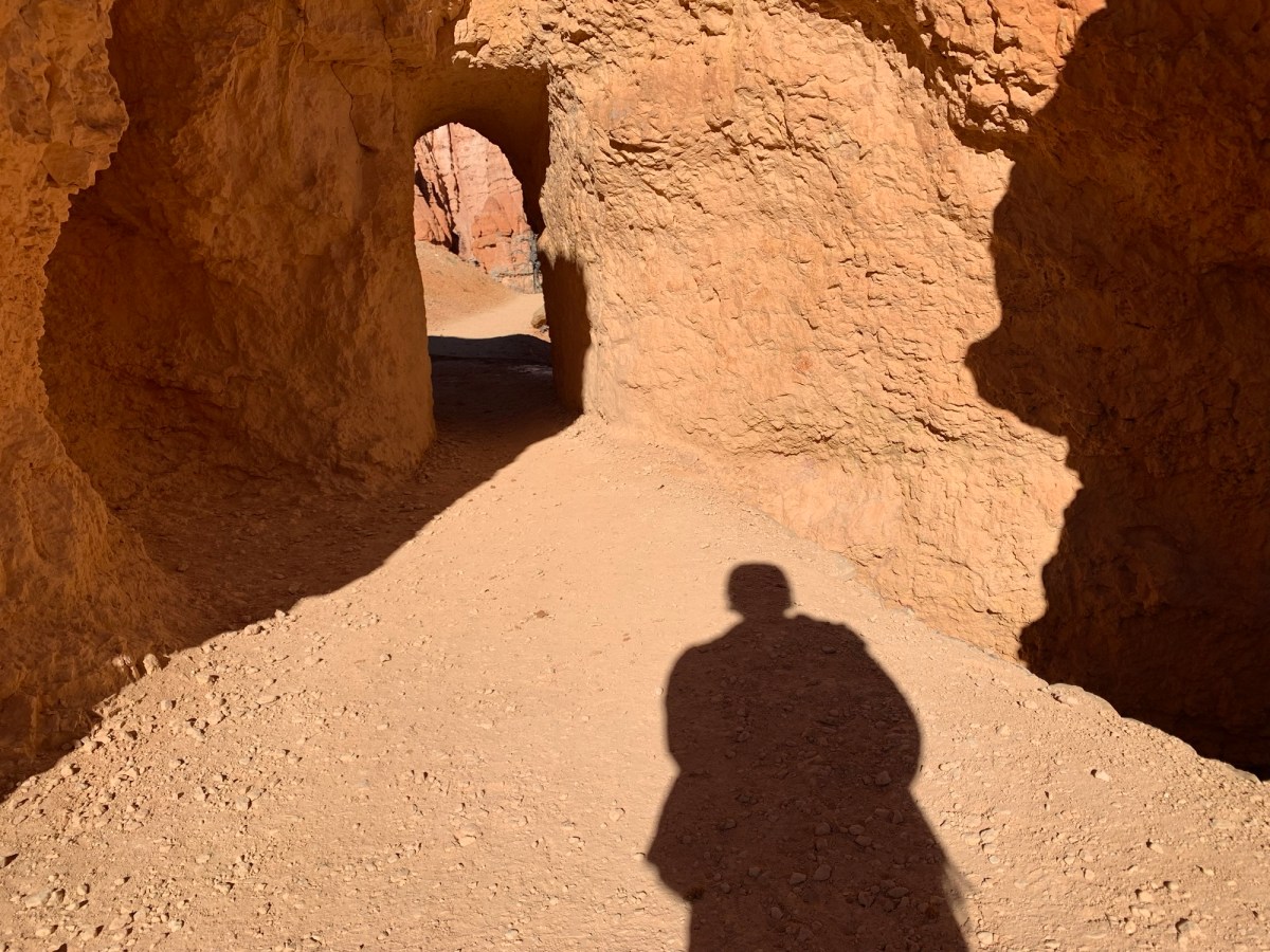 An encounter with the shadow (shadow-work of the 22nd of October,&nbsp;2022).