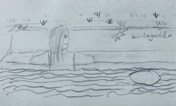 A case study of 2&nbsp;dreams.