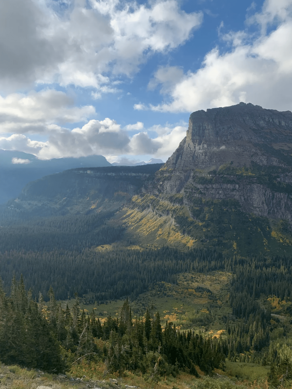 Dream of the 11th of December,&nbsp;2022.